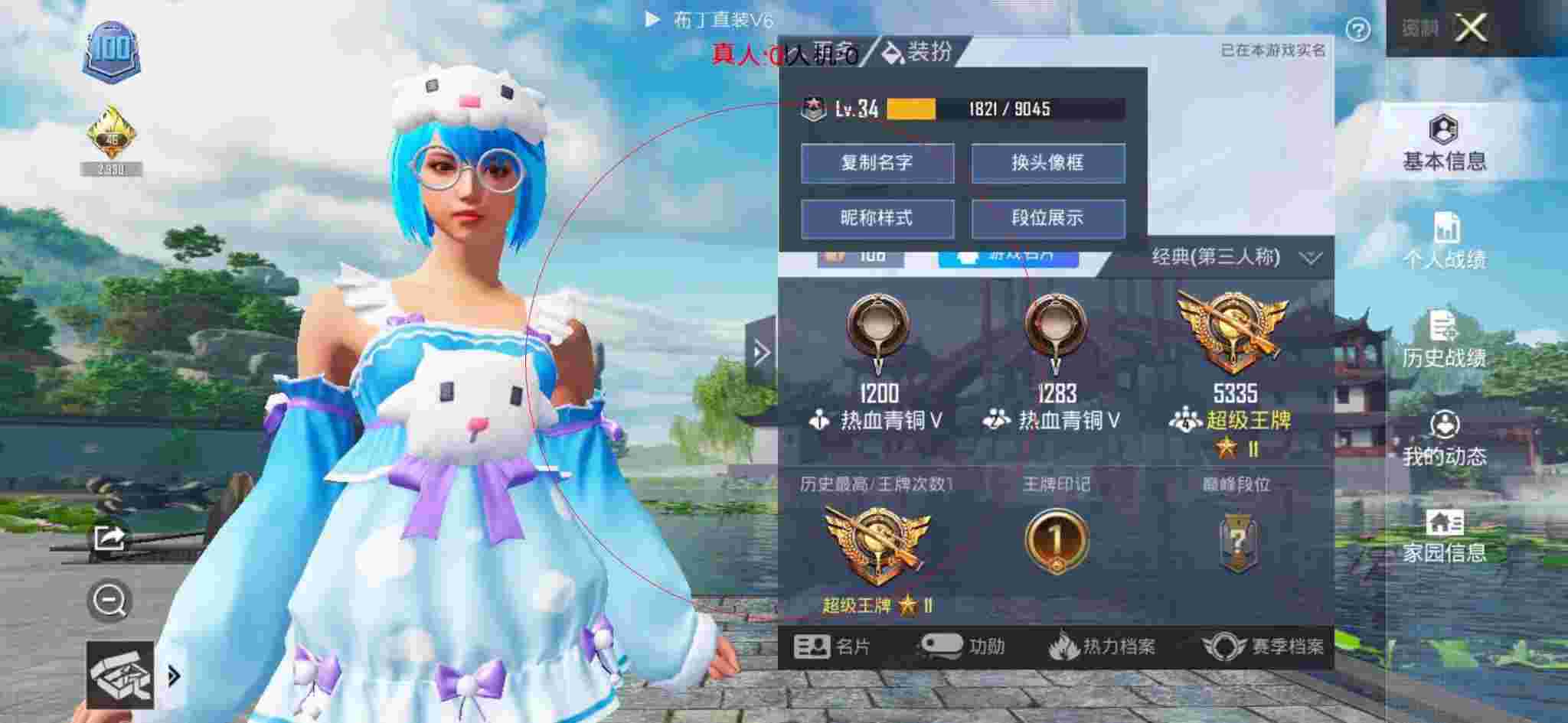 和平精英布丁直装透视 - 领域和平精英辅助操作辅助预览图